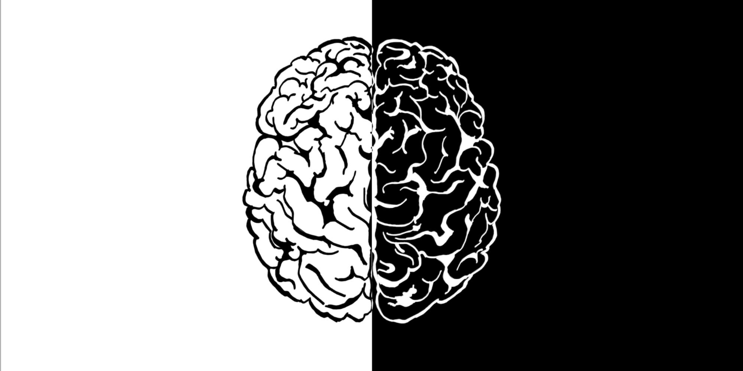 Formação Avançada em Neurociência Afetiva com Ênfase nos Sistemas Emocionais Primários